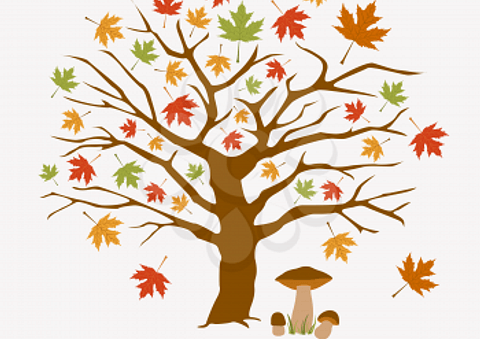 Autumn